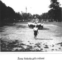 Ženy sokola při cvičení
