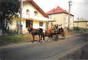 Polanský krmáš 1998